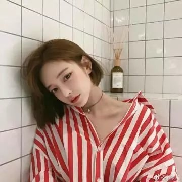房子与狗